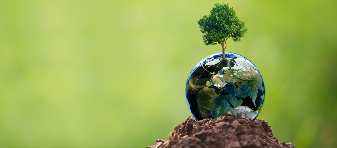 RSM France RH - l'organisme de formation certifié QUALIOPI